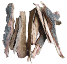 Seemandelbaum-Rinde (50g)